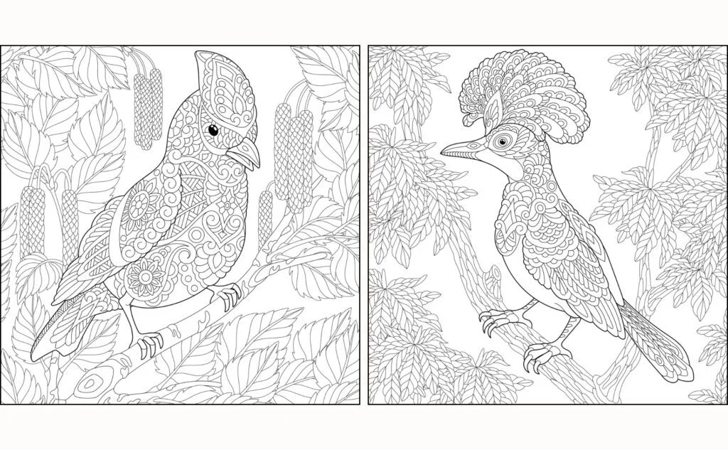 Cute Mandala Bird Illustrations