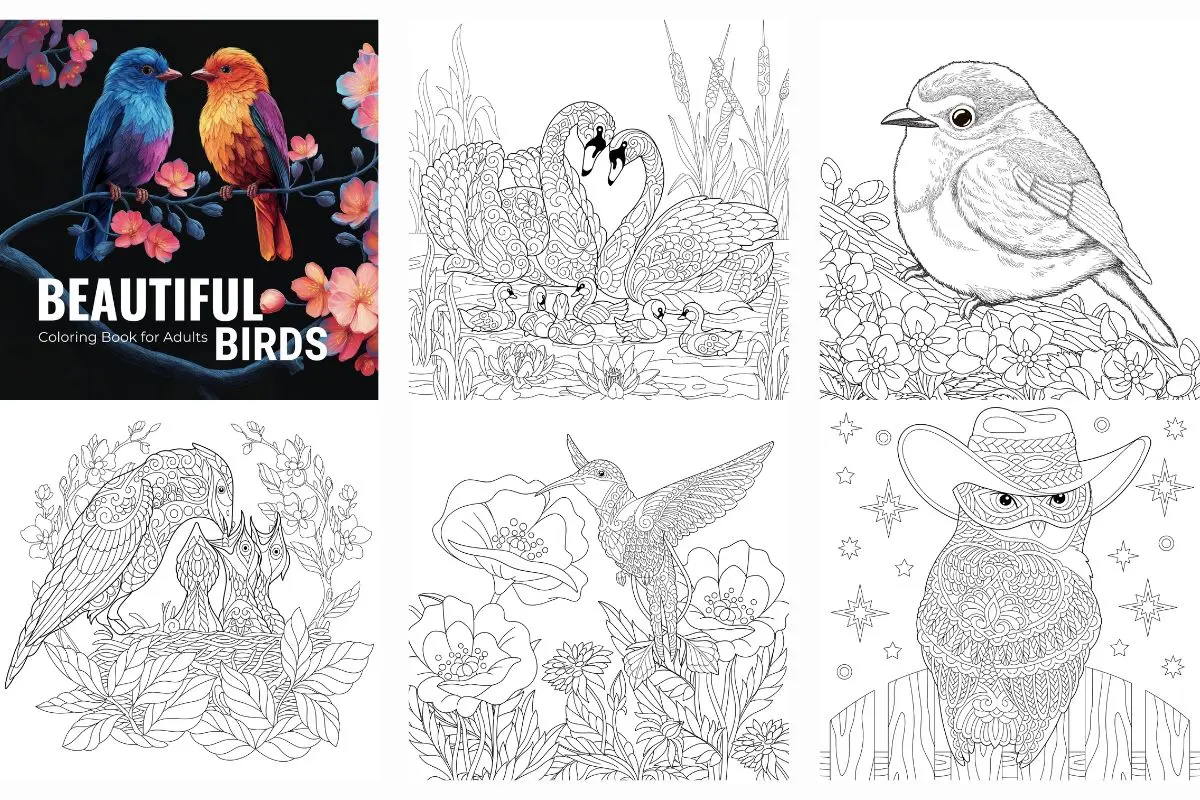 Beautiful Baby Birds and their Parents coloring book