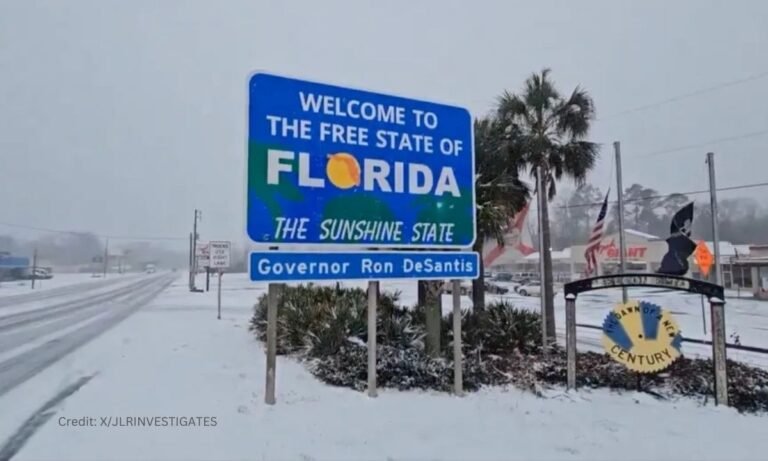 Florida snowfall 2025