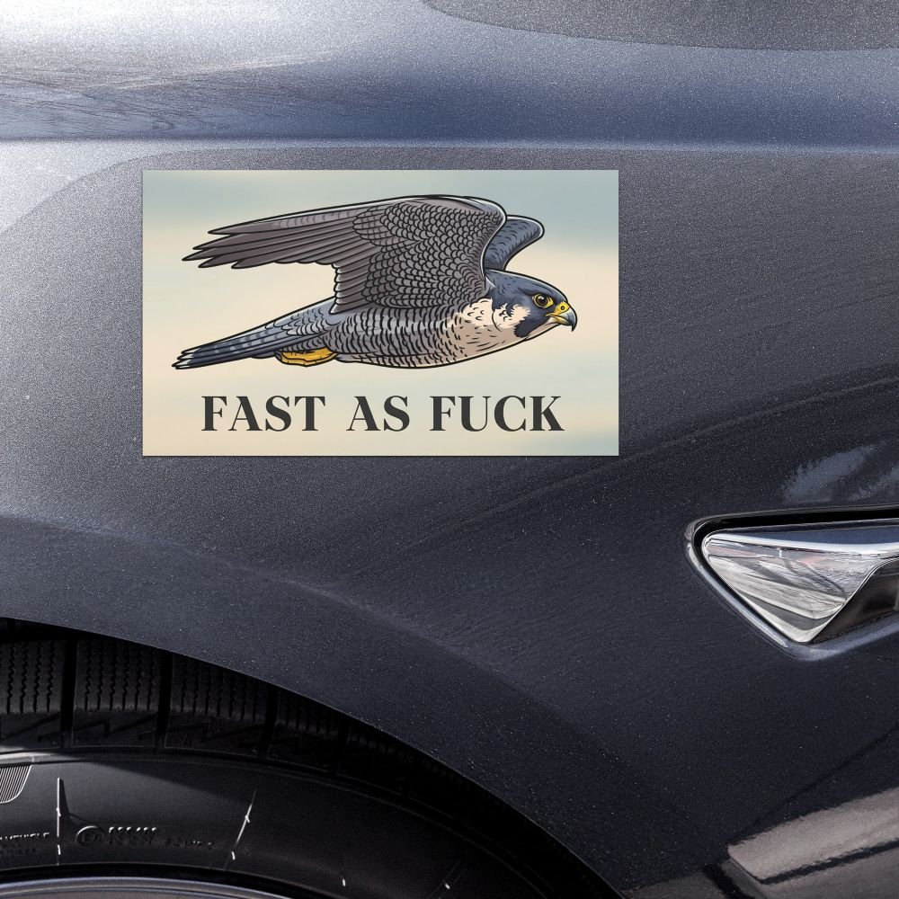 Weather-resistant vinyl car magnet showing a falcon and the edgy quote "Fast as Fuck".