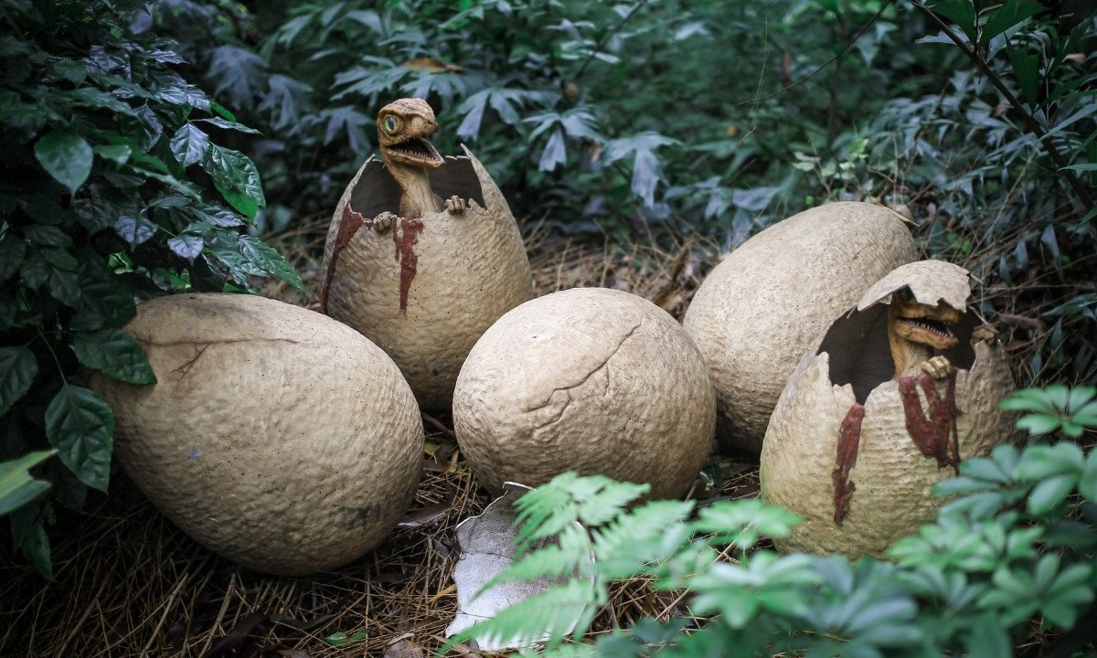 velociraptor eggs