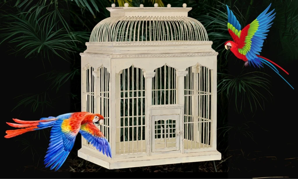A vintage-style, cream-colored wooden bird cage with a dome-shaped top and intricate detailing. The cage is centered against a dark background with blurred green foliage on the sides. Two large, vibrant macaws, one flying in from the bottom left and the other from the top right, are digitally added to the image, giving the impression of flight around the cage.