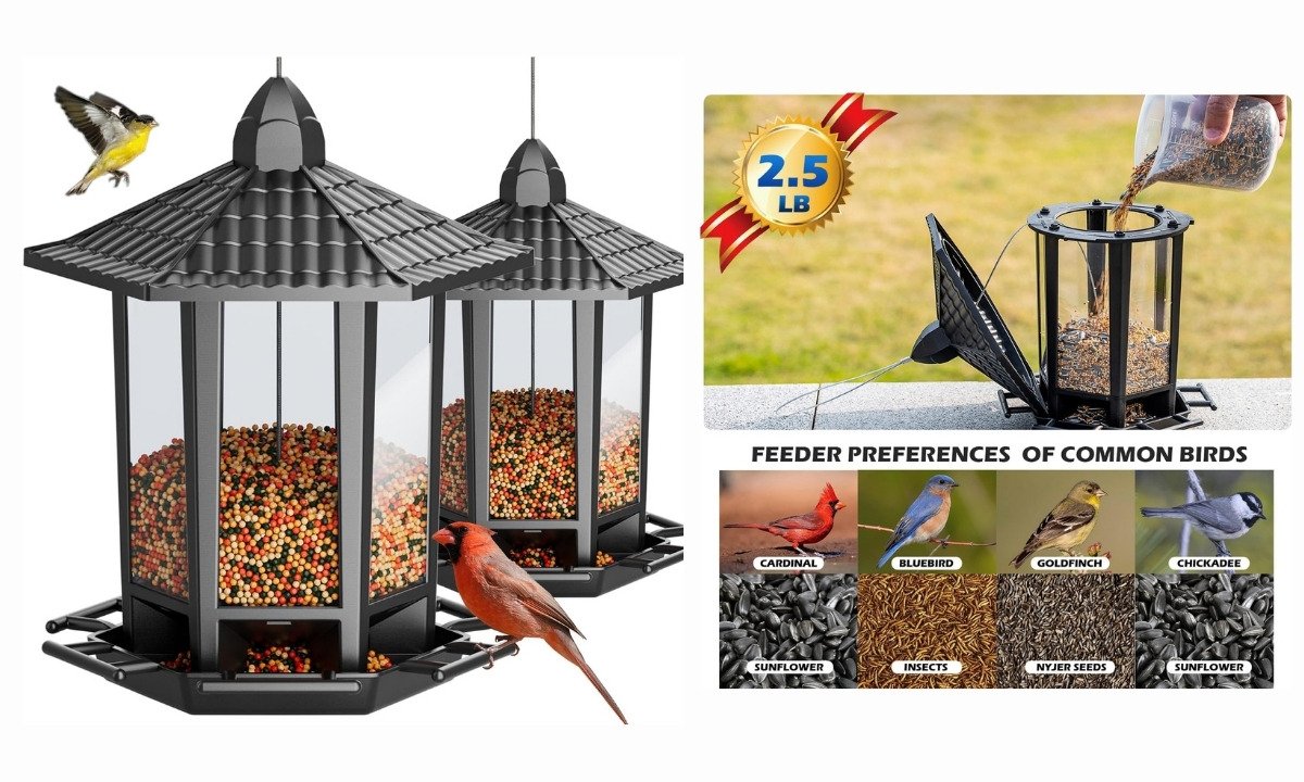 A pair of black pagoda-style Birdream bird feeders filled with seeds, with a graphic showing how to refill the feeder and a chart of seed preferences for common birds like cardinals and chickadees.
