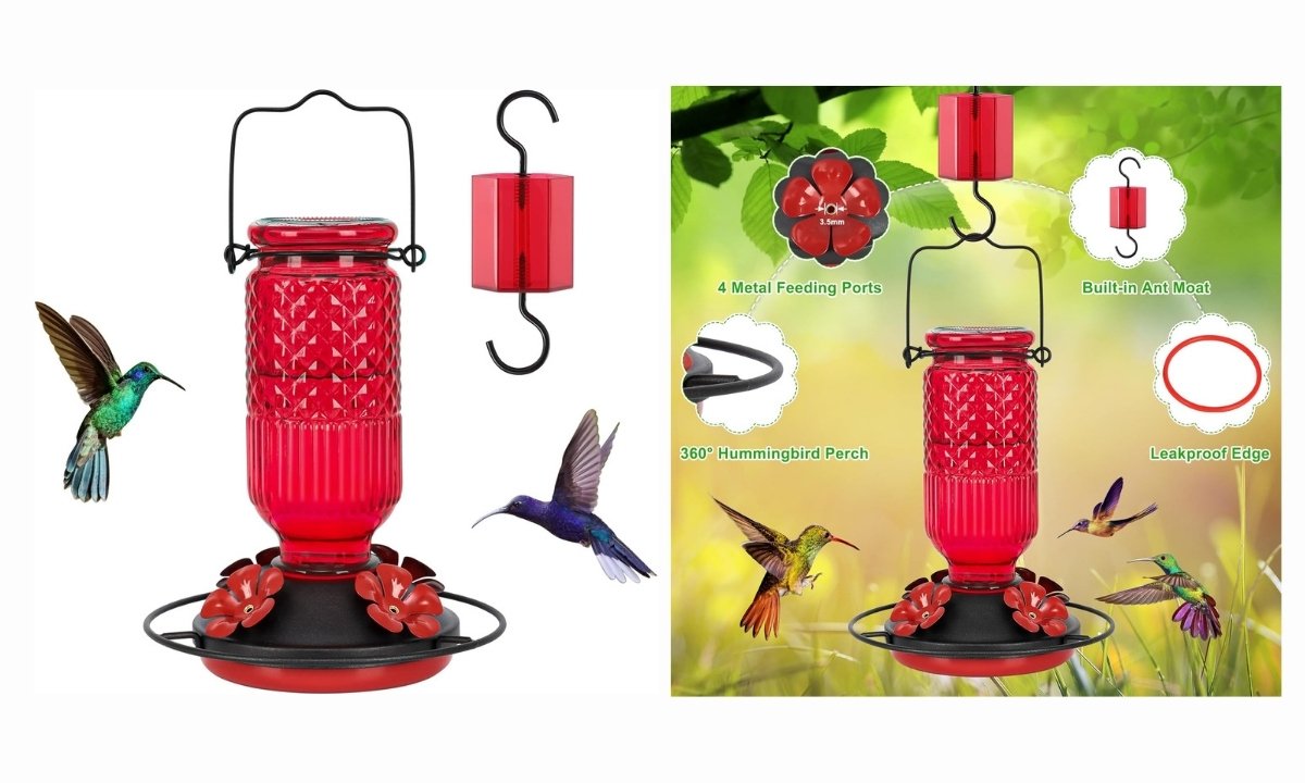  A product photo showing a red glass hummingbird feeder with a metal base and four flower-shaped feeding ports. The feeder is shown from two angles: on the left, it's displayed against a white background with illustrations of hummingbirds flying nearby; on the right, it's shown hanging in a garden setting, with callouts pointing to its features, including a built-in ant moat, 360-degree perch, and leakproof edge. The packaging also includes an S-hook and a small cleaning brush.