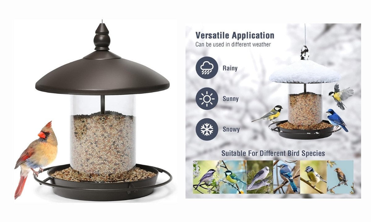 A metal roof bird feeder with a cardinal on the perch, with a graphic showing its versatility for different weather and its appeal to various bird species.