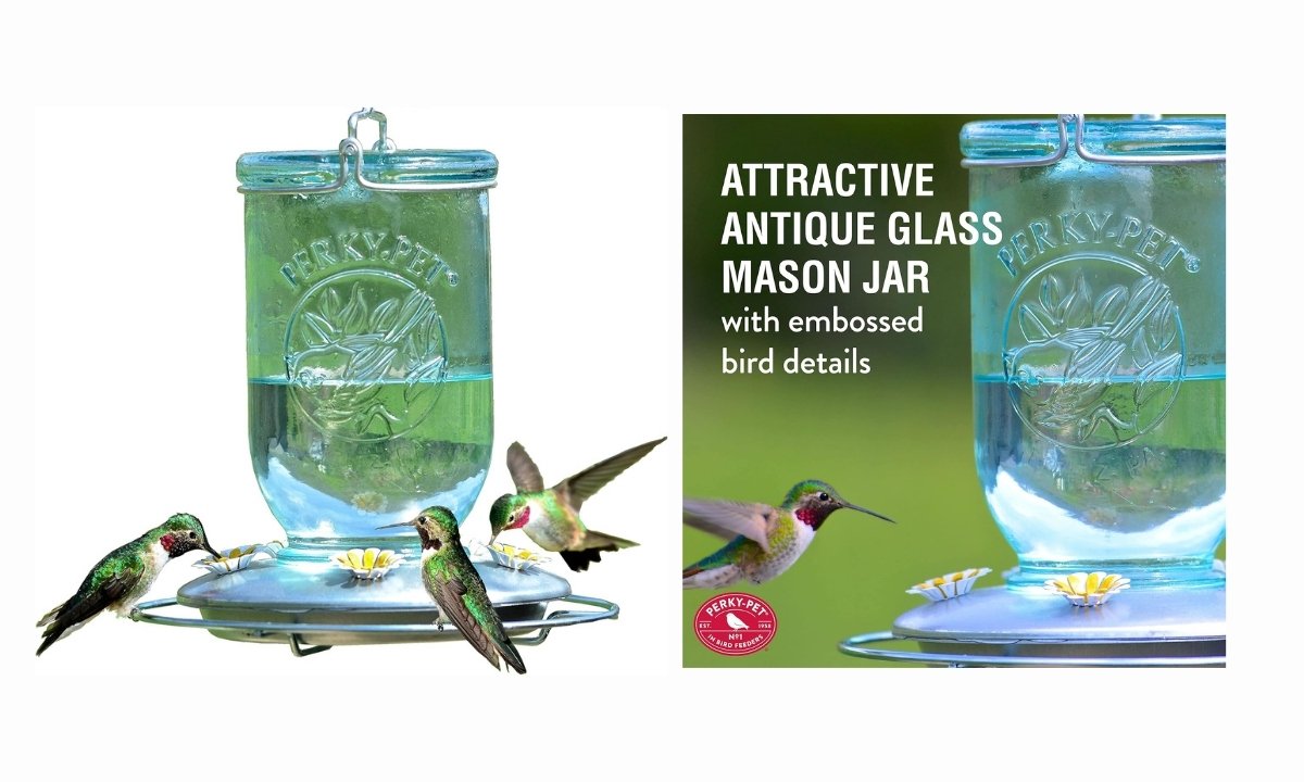 A two-panel image advertising a Perky-Pet hummingbird feeder designed to look like a vintage mason jar. The image on the left shows the complete feeder against a plain white background. It features an inverted, light blue-green glass mason jar with embossed bird details, connected to a circular silver base with white and yellow flower-shaped feeding ports. Several hummingbirds are shown drinking from the feeder. The image on the right is a close-up shot of the feeder in an outdoor setting, with a hummingbird hovering near a feeding port. Text overlaid on the image reads: "ATTRACTIVE ANTIQUE GLASS MASON JAR with embossed bird details."