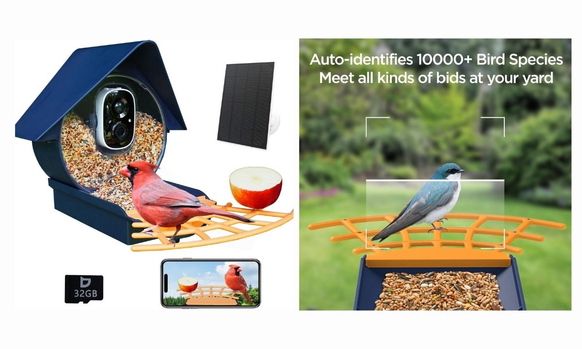 A product image showing a smart bird feeder with a built-in camera and a solar panel. The left side displays the components: a dark blue bird feeder filled with seeds, an orange perch, a cardinal perched on it, a separate solar panel, a 32GB SD card, and a smartphone screen showing the camera's view of the cardinal. The right side shows a close-up of a swallow on the perch with a text overlay highlighting the camera's ability to "Auto-identif[y] 10000+ Bird Species"