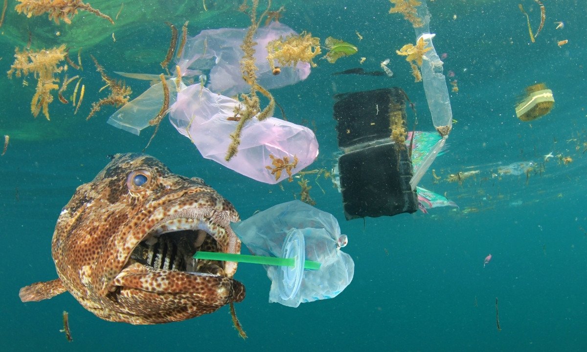 A wide-mouthed fish swims underwater, with a green plastic straw caught in its mouth and a tangled mass of plastic bags and other debris floating around it. This image highlights the problem of plastic pollution and its harmful effect on marine life.