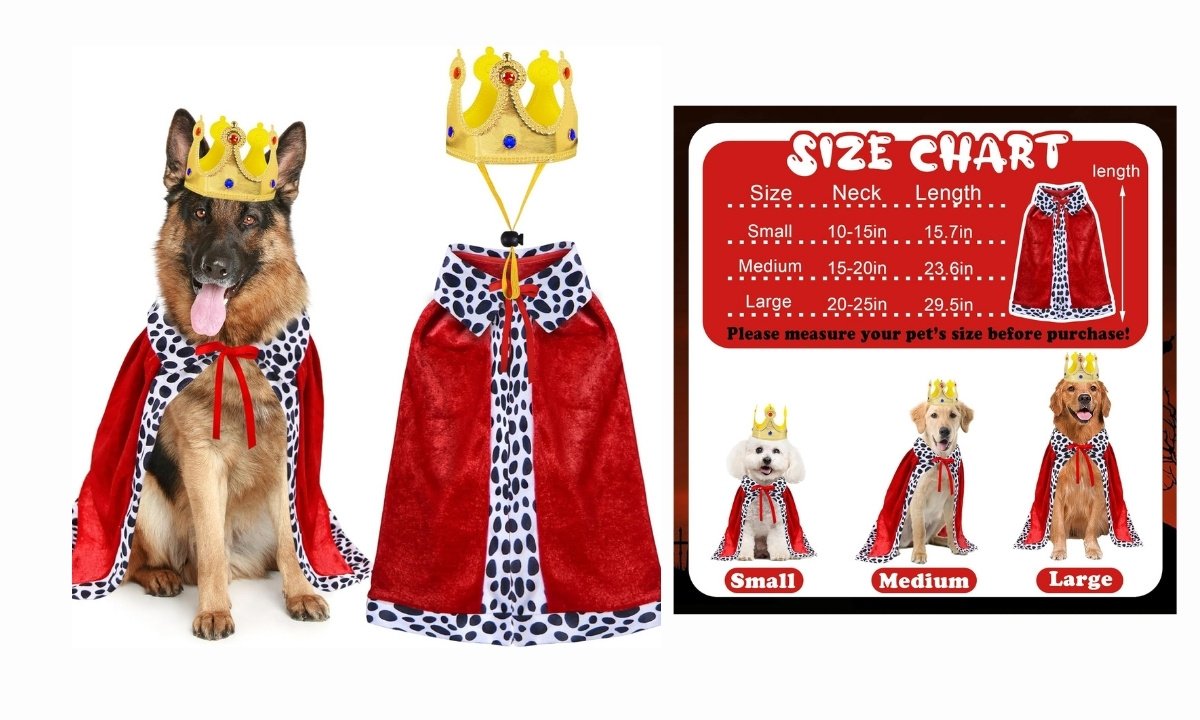 A German Shepherd wearing a royal king Halloween costume, consisting of a red cape with spotted trim and a golden crown.