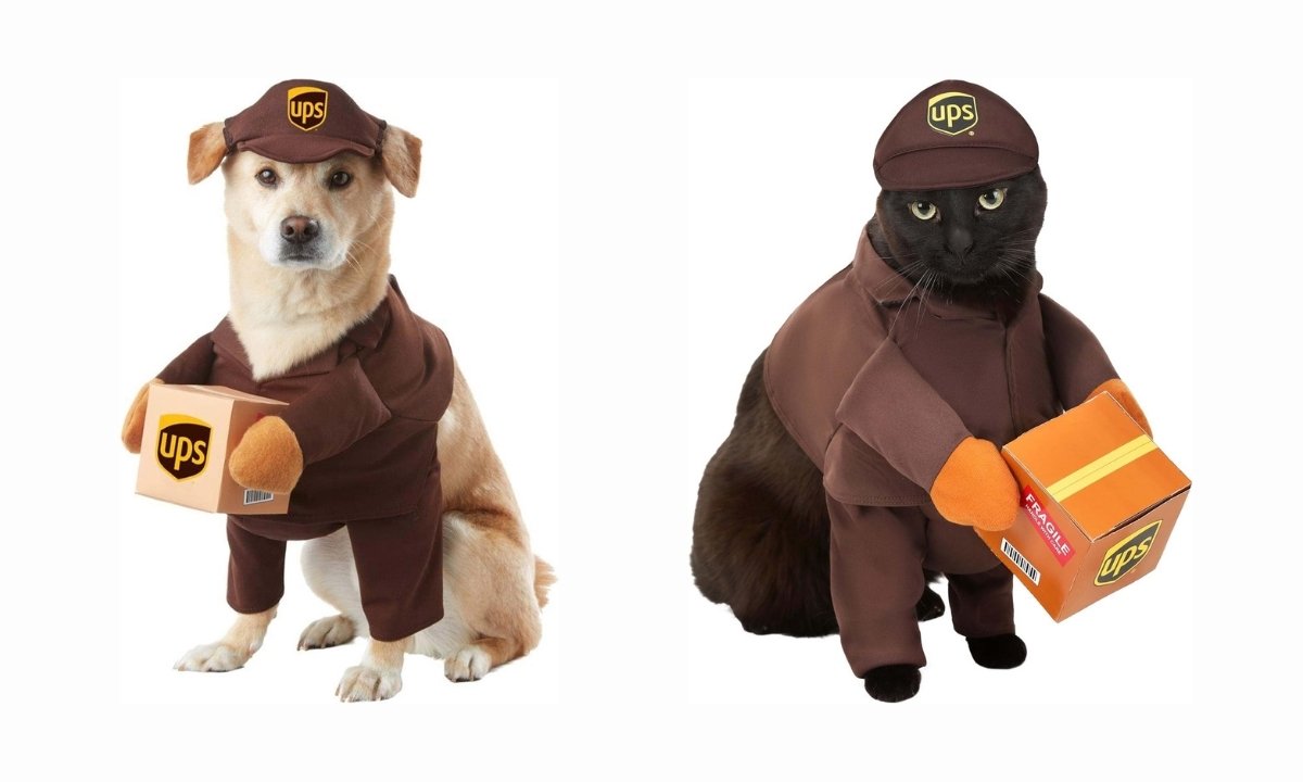 An adorable dog dressed in a UPS delivery driver Halloween costume, featuring a brown shirt, cap, and holding a small UPS package.