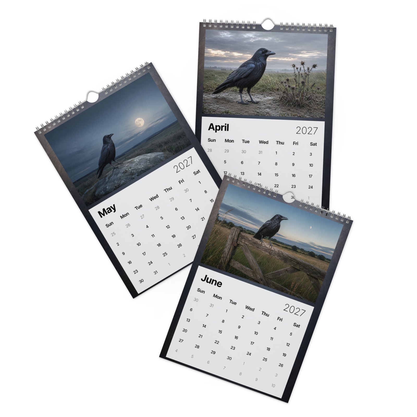 Crows & Moonlight 2027 Wall Calendar – Gothic Crow & Raven Art - Image 4