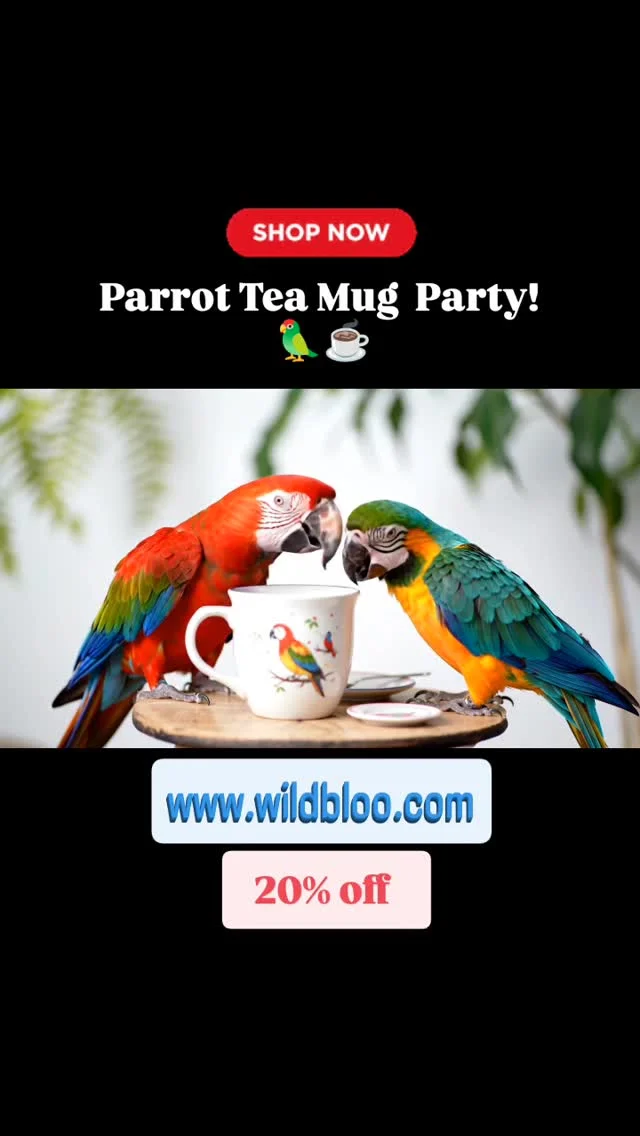Is there anything cuter than parrots sipping from a bird mug? We think not! 😉 These little guys are enjoying their own special tea party.Want to bring this level of cuteness to your morning coffee or tea? Head over to wildbloo.com and check out our adorable bird-themed mugs! Use code BIRDMUG for 20% off your order.#parrots #cuteanimals #birdsofinstagram #teatime #birdmug #wildbloo #CoffeeMugLove #birdlovergift